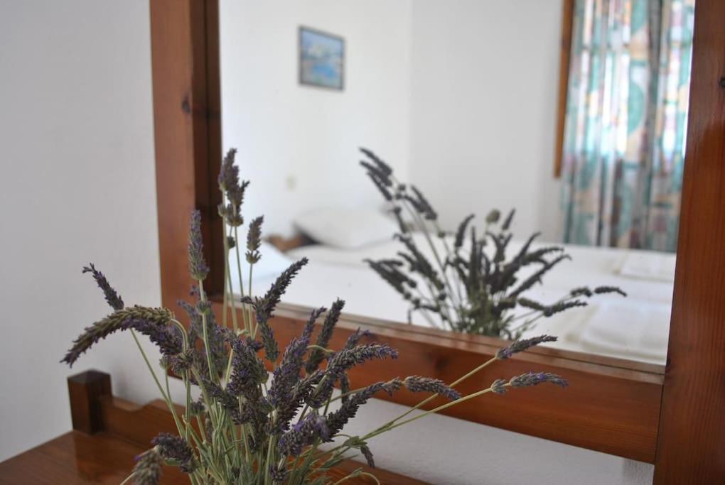 Antigoni Apartments 'Lavender Room' Milatos Dış mekan fotoğraf